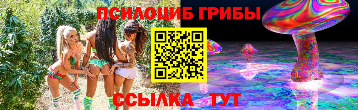Галлюциногенные грибы прущие грибы Лениногорск